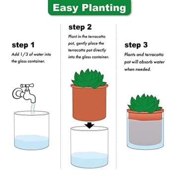 Phoenix Vine 4 Inch 6 Inch Self Watering Plants Pots, Design Terracotta Pots for Plants, Indoor Cylinder Terra Cotta Planter with Glass Vase Set, 51-A-G-46