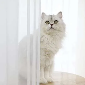 Elegant White Sheer Curtains for Windows 84 Inch