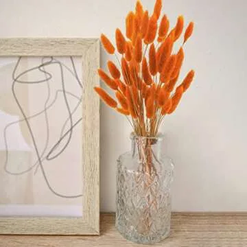 Uieke 17’’ Natural Bunny Tails Dried Flowers, 50 Pcs Dried Lagurus Ovatus, Dried Pampas Grass fo...