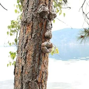 INNOLITES Tree Faces Decor Outdoor, Tree Face Outdoor Statues Old Man Tree Hugger Bark Ghost Face De...
