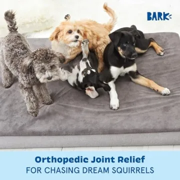 BARK Orthopedic Memory Foam Dog Bed for Comfort