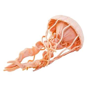 Safari Ltd. Jellyfish Figurine - Detailed 5" Kids Model - Educational Play Toy