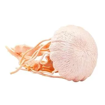 Safari Ltd. Jellyfish Figurine - Fun Educational Toy for Kids