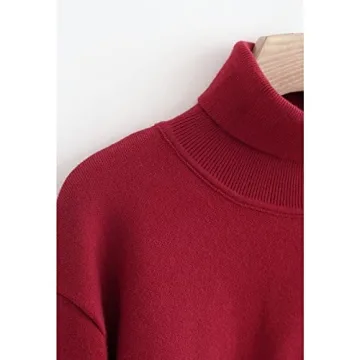 Chicwish Women's Cozy Heart Pattern High Neck Sweater