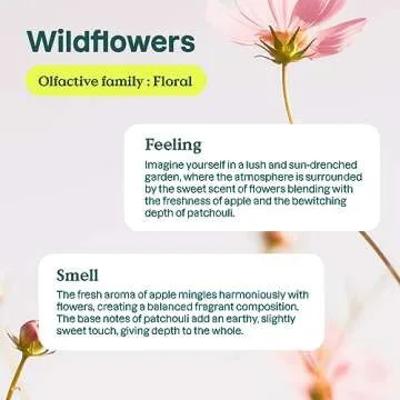 ATTITUDE Eco-Friendly Liquid Laundry Detergent, HE Compatible