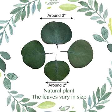 300+ Pcs Dried Real Eucalyptus Leaves, Rustic Boho Wedding Table Decor, 100% Natural Preserved Silve...