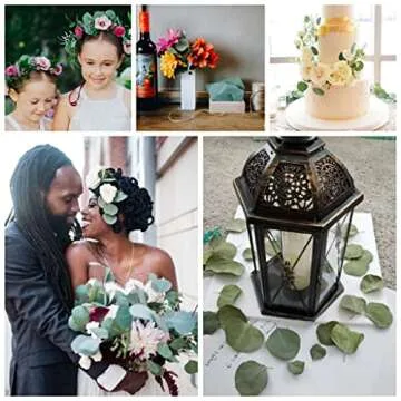 300+ Pcs Dried Real Eucalyptus Leaves, Rustic Boho Wedding Table Decor, 100% Natural Preserved Silver Dollar Eucalyptus Decor Green Leaves, Biodegradable Confetti for Weeding, DIY, Baby Shower, Cake1