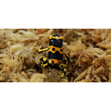 Besgrow Spagmoss - Premium New Zealand Sphagnum Moss 150g