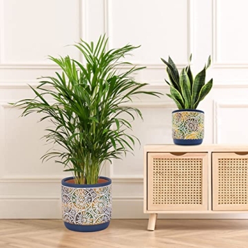 Stunning DeeCoo Ceramic Plant Pots Set for Modern Decor
