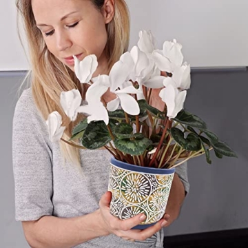 Stunning DeeCoo Ceramic Plant Pots Set for Modern Decor