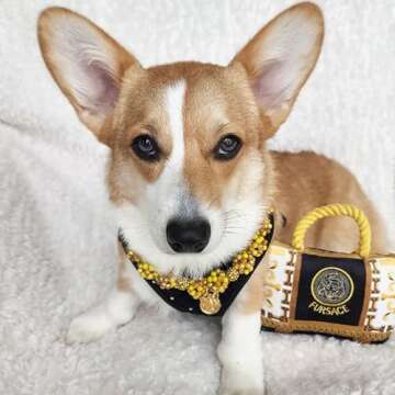 Haute Diggity Dog Fursace Handbag, Plush Designer Dog Toys with Interactive Squeaker, Stimulating Pet Enrichment, Machine-Washable & Safe Materials for All Breeds, One Size