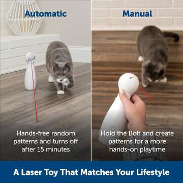 PetSafe Bolt Laser Cat Toy for Indoor Fun