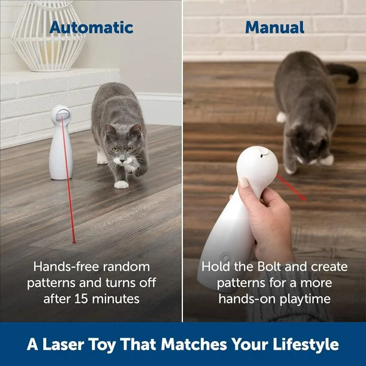 PetSafe Bolt Laser Cat Toy for Indoor Fun