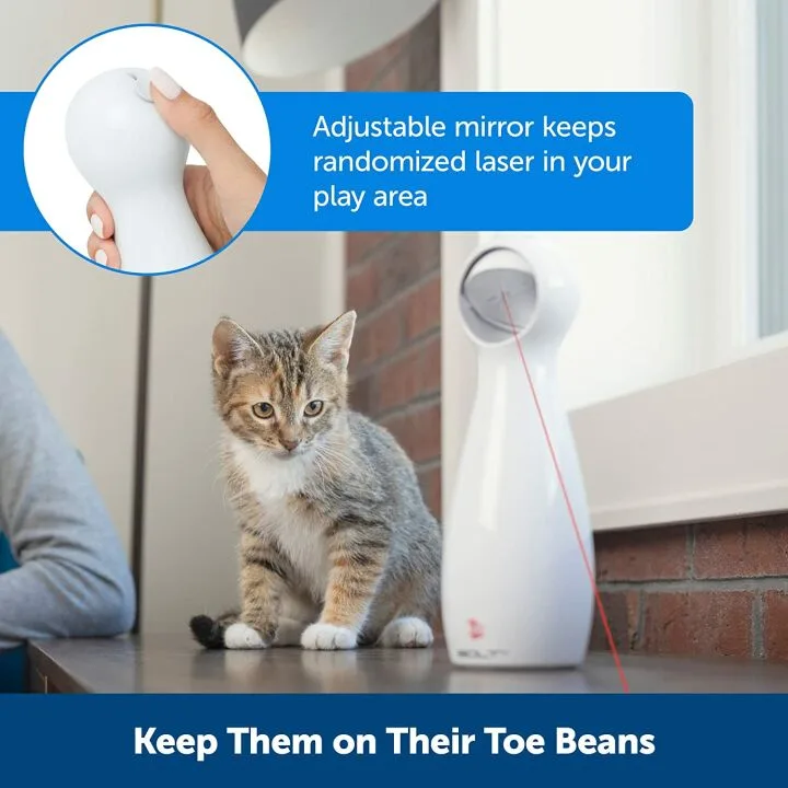 PetSafe Bolt Laser Cat Toy for Indoor Fun