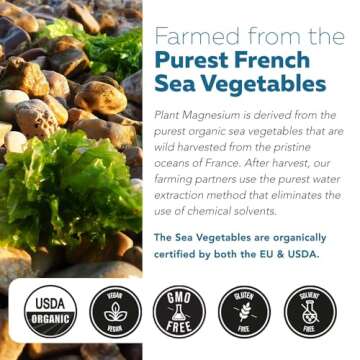 Organic Magnesium Supplement for Sleep & Energy Enhancement