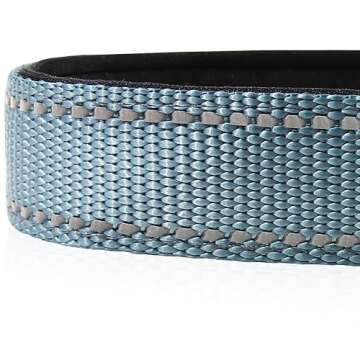 Joytale Reflective Dog Collar - Stylish, Comfortable & Safe