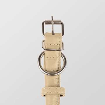 CollarDirect Rolled Leather Dog Collar, Soft Padded Round Puppy Collar, Handmade Genuine Leather Collar Dog Small Large Cat Collars 13 Colors (6 Inch, Beige Textured)