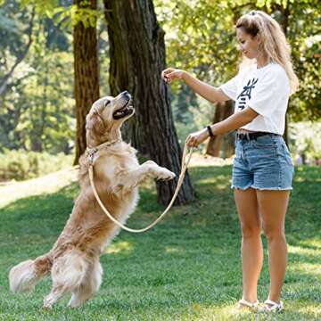 CollarDirect Rolled Leather Dog Collar, Soft Padded Round Puppy Collar, Handmade Genuine Leather Collar Dog Small Large Cat Collars 13 Colors (6 Inch, Beige Textured)