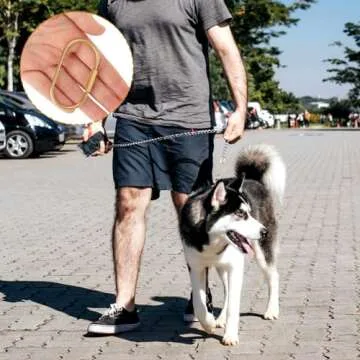 2.52 x 1.34 inches 6 Pcs Brass Screw Lock Keychain, Durable Brass Screw Lock Clip Key Chain Ring Durable Simple Brass Keychain Holder Brass Key Ring Simple Style Car keychain for Men Women Gold