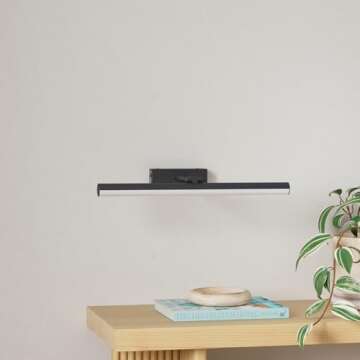 Black Picture Lights for Wall, Battery Operate Painting Light with Remote,16 inch Led Art Light for ...