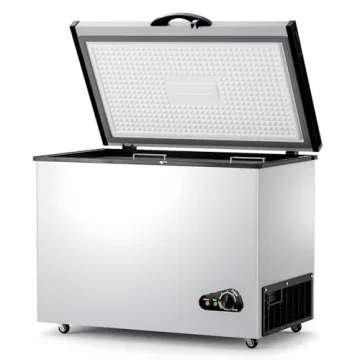 Bodacious 10 Cu Ft Energy Efficient Deep Freezer