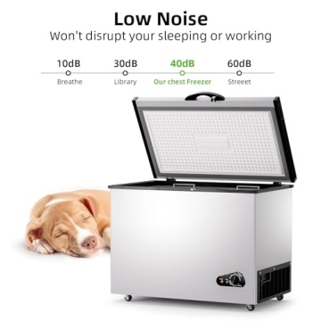 Bodacious 10 Cu Ft Energy Efficient Deep Freezer