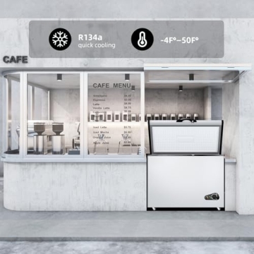 Bodacious 10 Cu Ft Energy Efficient Deep Freezer