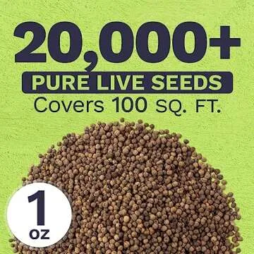 California Orange Poppy Wildflower Seeds - Bulk 1 Ounce Packet - Over 20,000 Native Seeds - California State Flower!