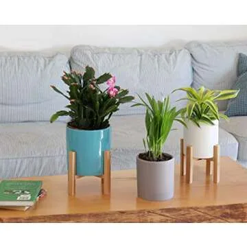 TABOR TOOLS Modern Ceramic Planters with Bamboo Stand