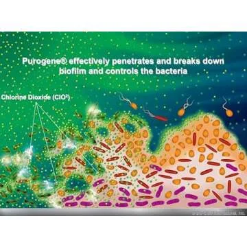 Buy BayTec Purogene - Water Treatment for Safe Drinking