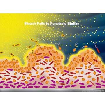 BayTec - 32oz Purogene Drinking Water Treatment and Water System Sanitizer for Water, Sanitizes Water Storage Systems, Provides for Long-Term Storage of Drinking Water