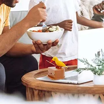 EOMTUR Bird Toothpick Dispenser Cute Woodpecker Toothpick Dispenser for Home Toucan Toothpick Dispenser Novelty Automatic Toothpick Holder Cute Bird Dining Table Gift