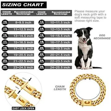 Gold Dog Chain Collar Walking Metal Chain Collar with Design Secure Buckle,18K Cuban Link Strong Heavy Duty Chew Proof for Small Dogs(19MM, 10")