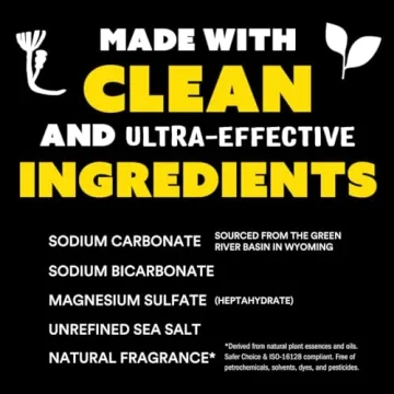 Molly’s Suds Original Laundry Detergent Powder 120 Loads