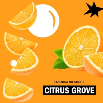 Molly’s Suds Original Laundry Detergent Powder 120 Loads