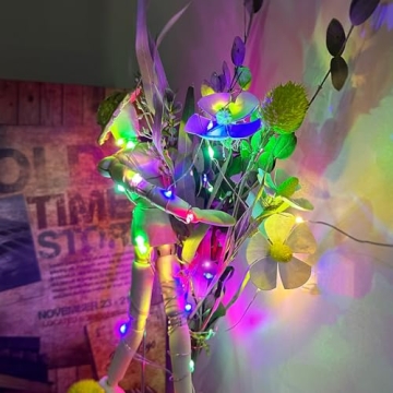 Aogist 16 FT 50 LED Fairy Lights for Every Occasion