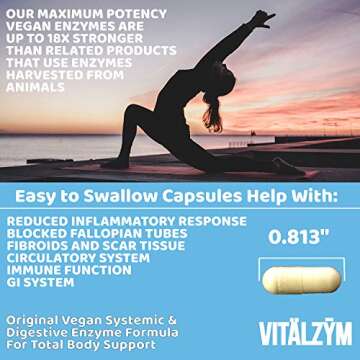 VITÄLZYM Original Proteolytic Systemic Digestive Enzyme Formula Serrapeptase Source | Immune and Joint Support Increase Blood Flow Cardio Function | Healthy Men Women (90 Capsules)
