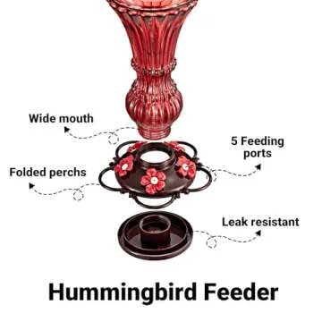 Beserie Glass Hummingbird Feeders for Your Garden
