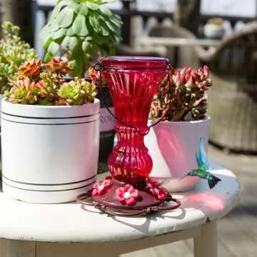 Beserie Glass Hummingbird Feeders for Your Garden