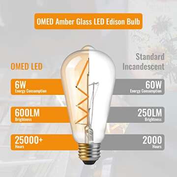OMED Vintage LED Edison Bulb 60W Equivalent Dimmable