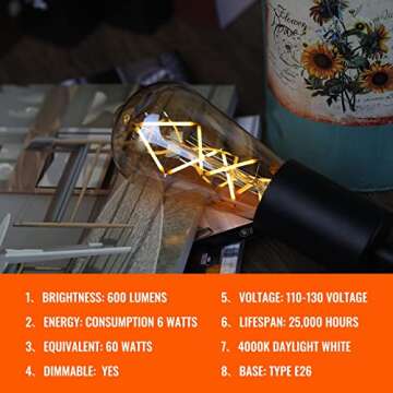 OMED Vintage LED Edison Bulb 60W Equivalent Dimmable