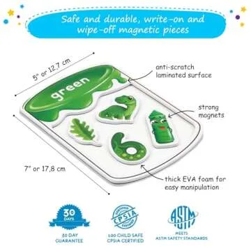 Magnetic Color Sorting Set for Toddler Education