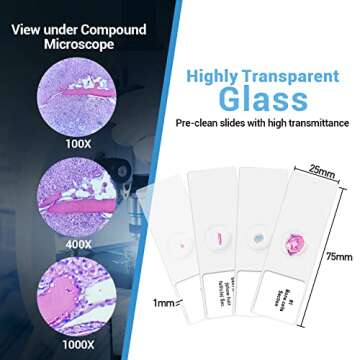 100Pcs Prepared Microscope Slides Set Professional Specimens for Kids Student Homeschool Use