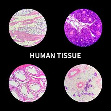 100Pcs Microscope Slides Set for Kids and Students