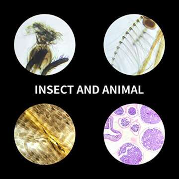 100Pcs Microscope Slides Set for Kids and Students