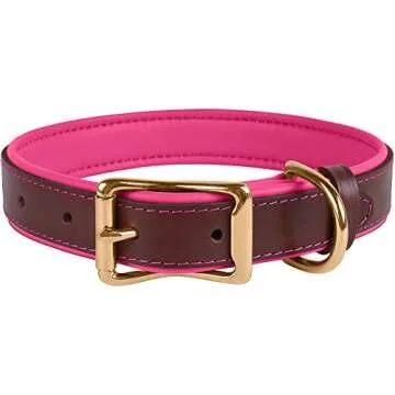 BronzeDog Leather Dog Collar Premium Soft Padded Heavy Duty Pet Collars for Dogs Small Medium Large Brown Pink Blue Red Green Purple Beige (Neck Size 18" - 21", Brown/Pink)