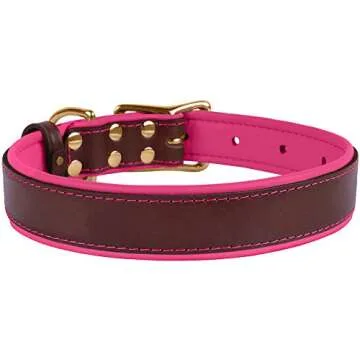 BronzeDog Leather Dog Collar Premium Soft Padded Heavy Duty Pet Collars for Dogs Small Medium Large Brown Pink Blue Red Green Purple Beige (Neck Size 18" - 21", Brown/Pink)