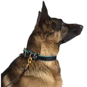BronzeDog Leather Dog Collar Premium Soft Padded Heavy Duty Pet Collars for Dogs Small Medium Large Brown Pink Blue Red Green Purple Beige (Neck Size 18" - 21", Brown/Pink)