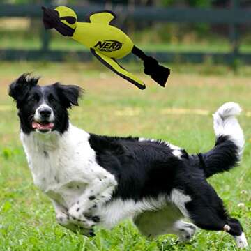 Nerf Dog Large Nylon Launching Duck, Green