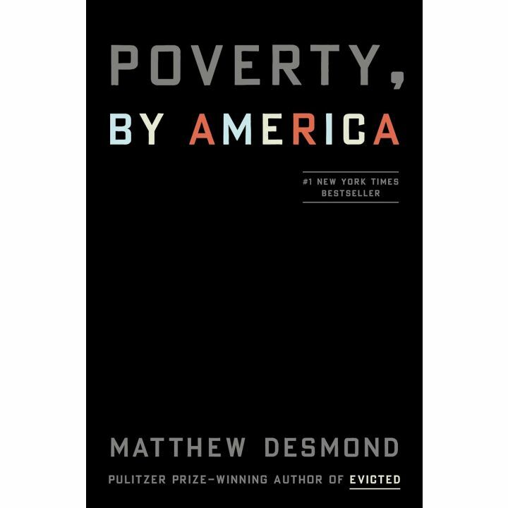Understanding 'Poverty, by America' Documentary Insights